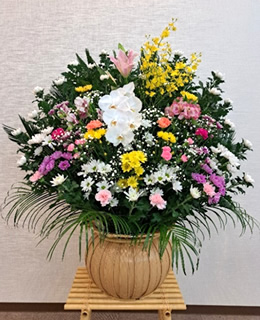 ダルマ篭花
